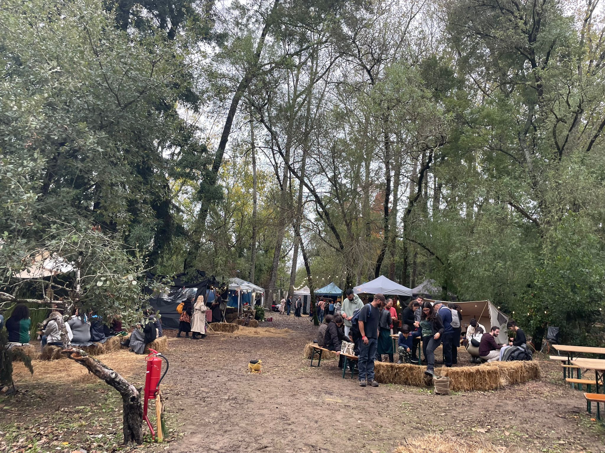 Ambiente celta no Samhain Fire Fest 2025 na Quinta da Ribafria em Sintra