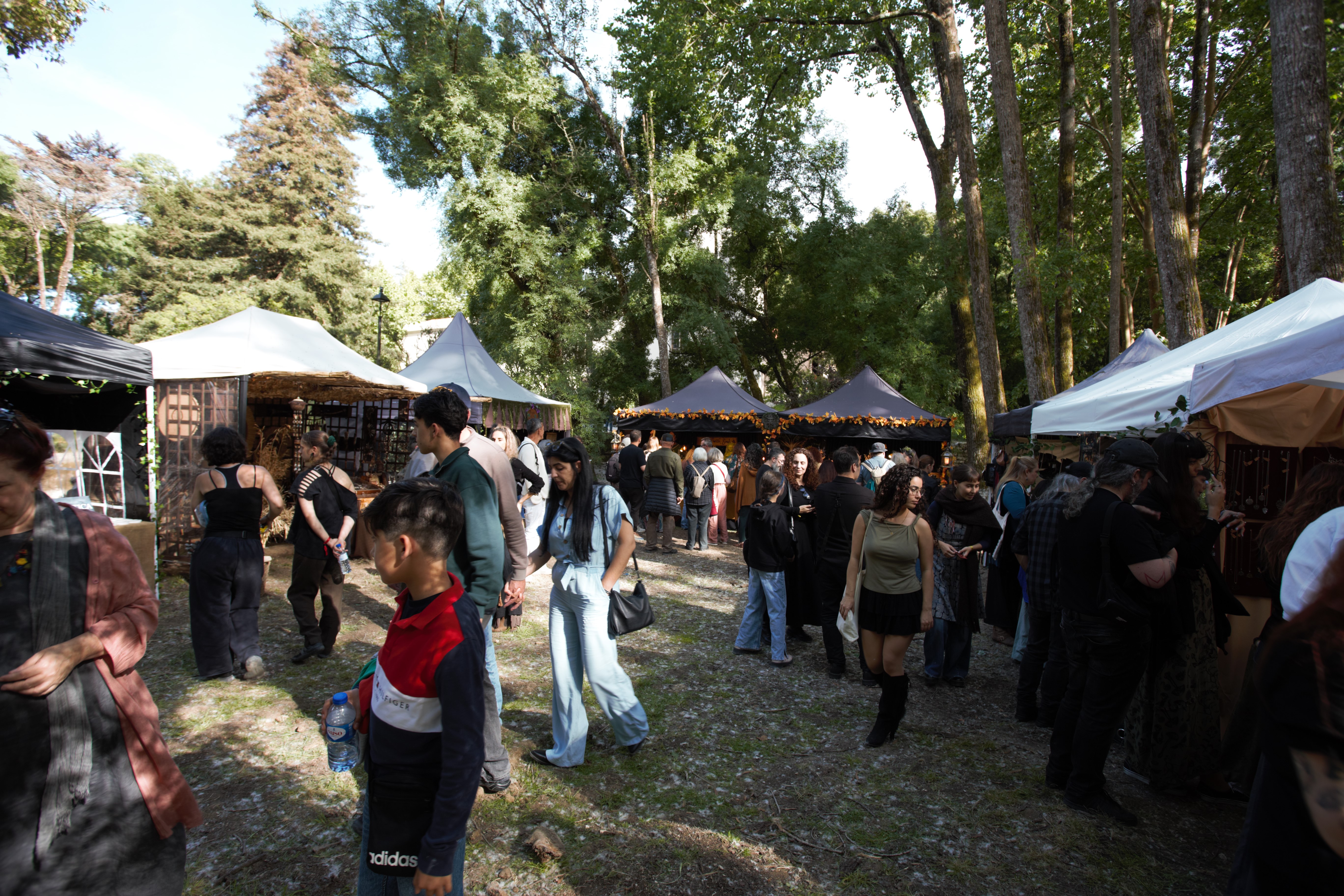 a-noite-de-walpurgis_teatro-de-fogo_goethe_ophiussafiretheatre_beltane_sintra-fire-fest-